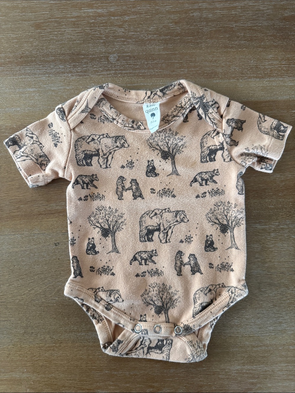 Kate Quinn bear family onesie